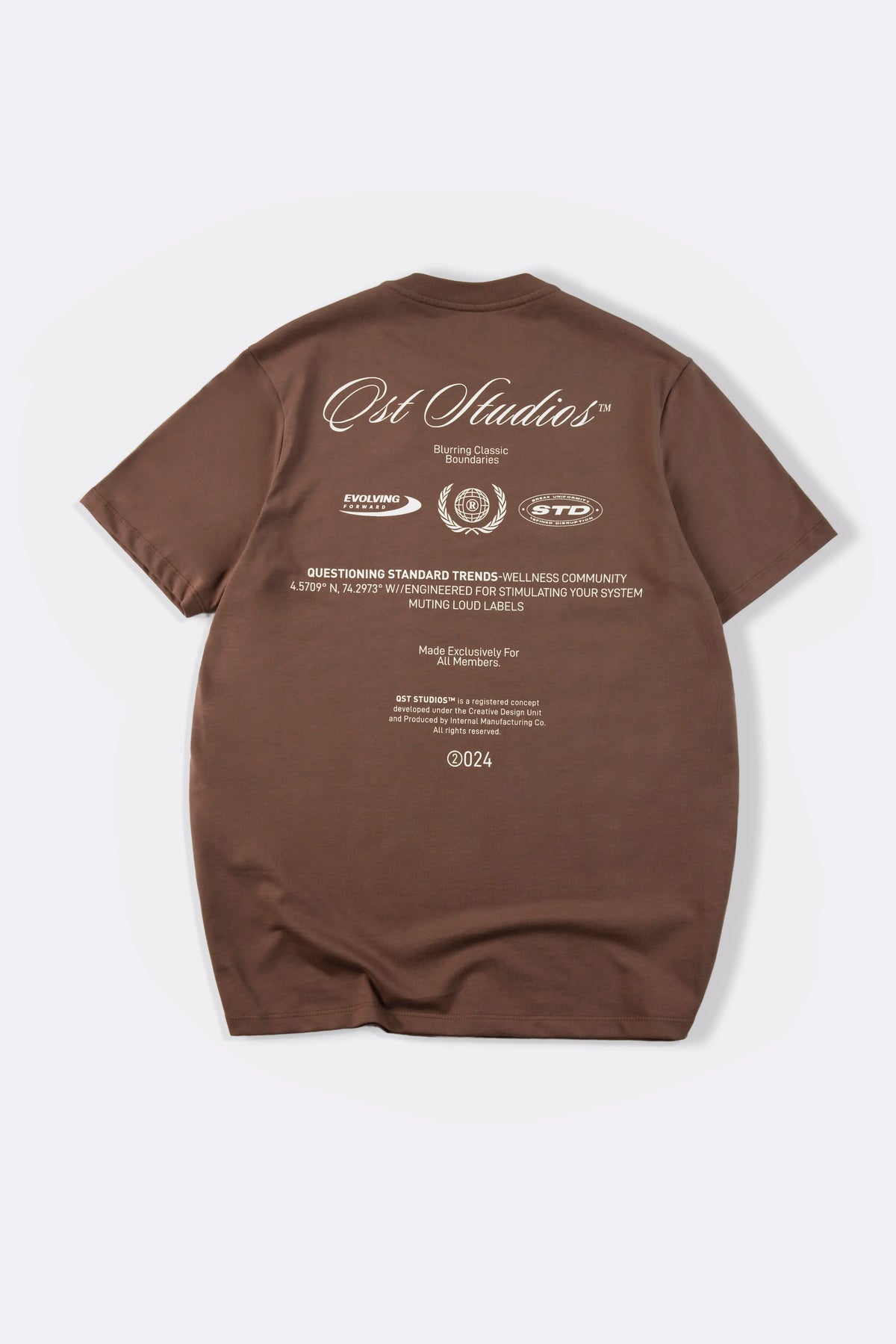 CAMISETA ESPECIAL ESTAMPADO LOCALIZADO COLOR BRUNETTE
