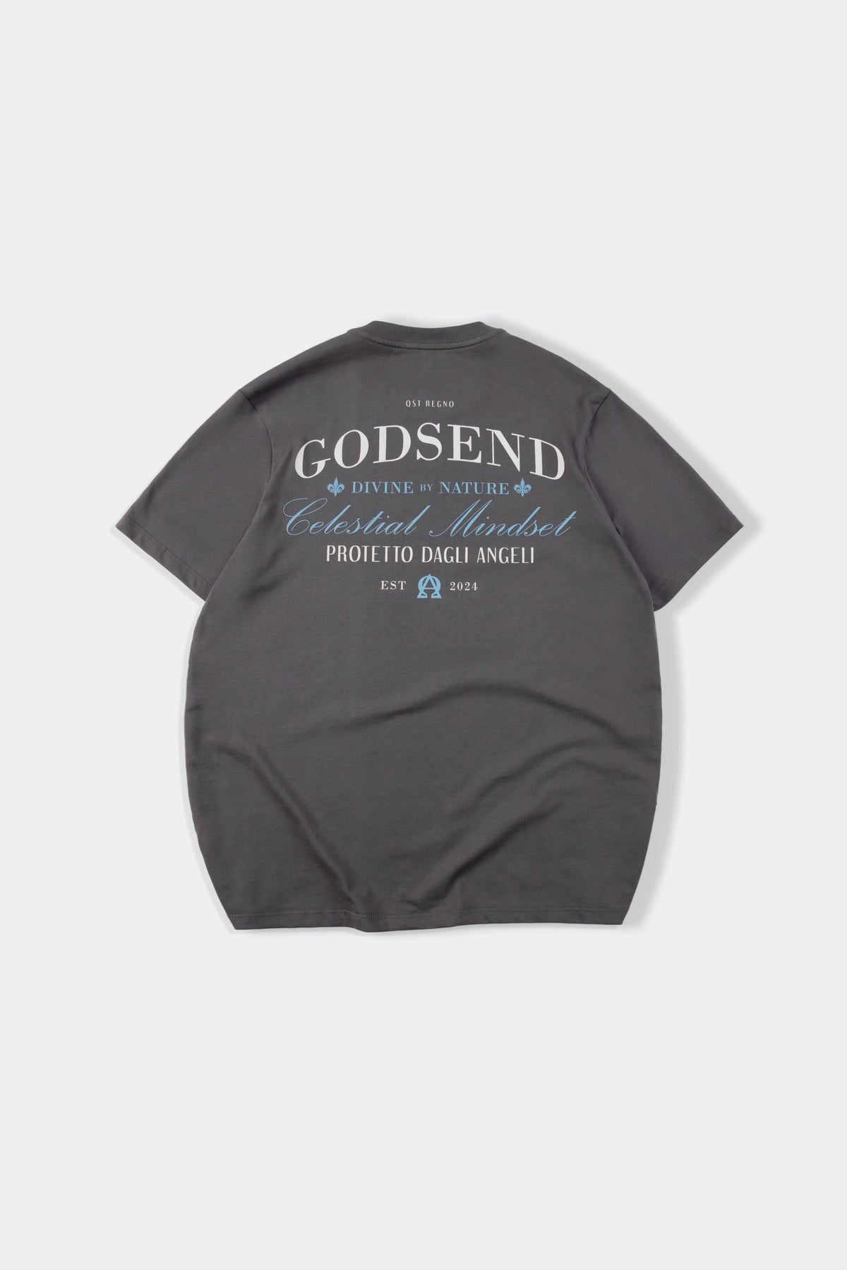 CAMISETA ESPECIAL ESTAMPADO LOCALIZADO COLOR GRIS OSCURO
