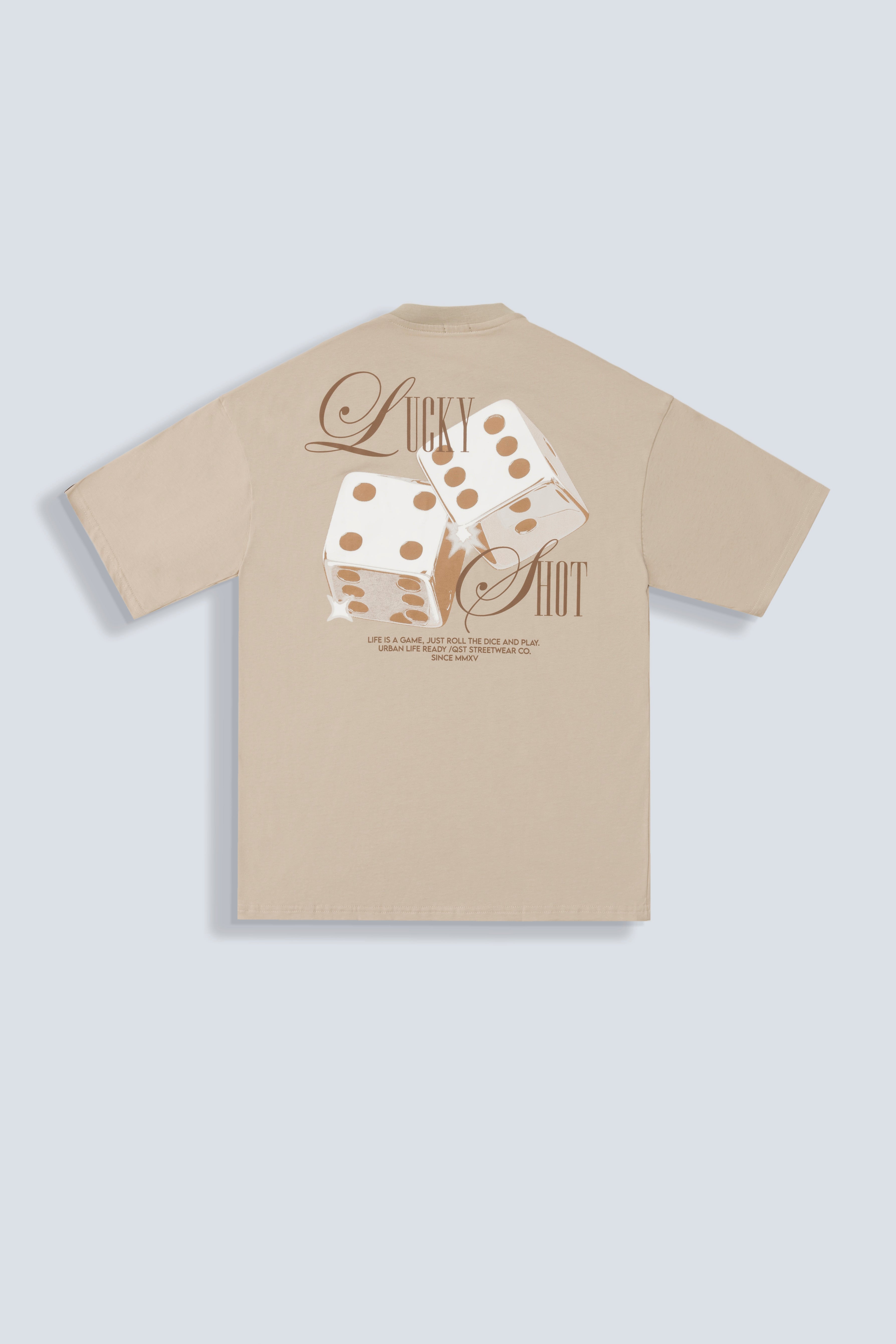 CAMISETA OVERSIZE COLOR WARM TAUPE - QST