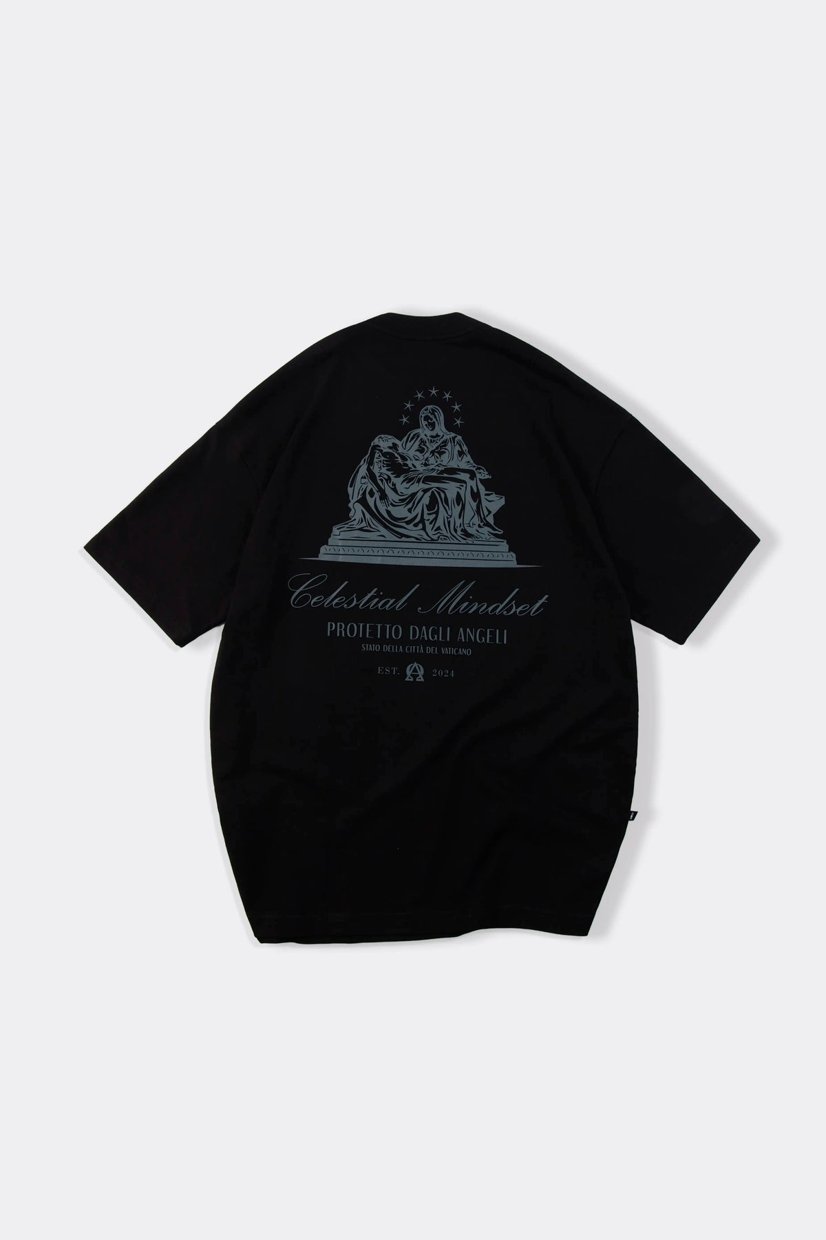 CAMISETA MANGA CORTA COLOR NEGRO